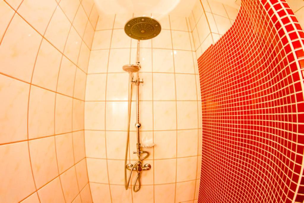 Apartament Kopernik Krasków Cameră foto